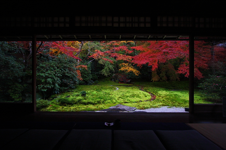 瑠璃光院_e0051888_431836.jpg