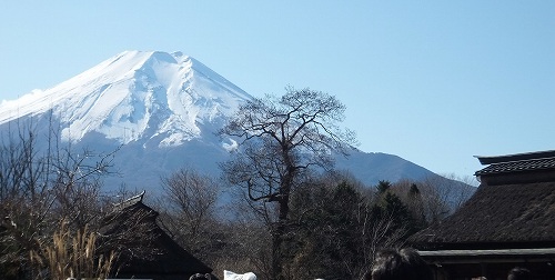 雨の箱根・快晴の富士山　12/2～4_b0097689_2322827.jpg