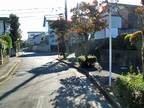 c0163001_23512319.jpg