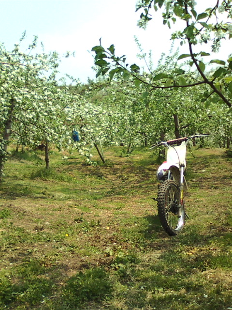 e0104702_181555100.jpg