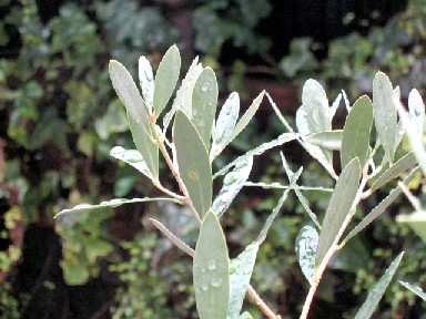 a0040103_2028434.jpg