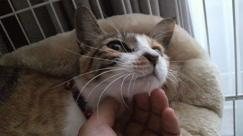 a0177105_1561766.jpg