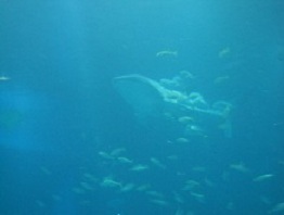 d0203706_283233.jpg