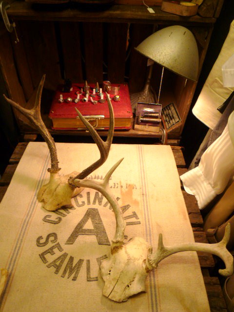 f0180307_23135556.jpg