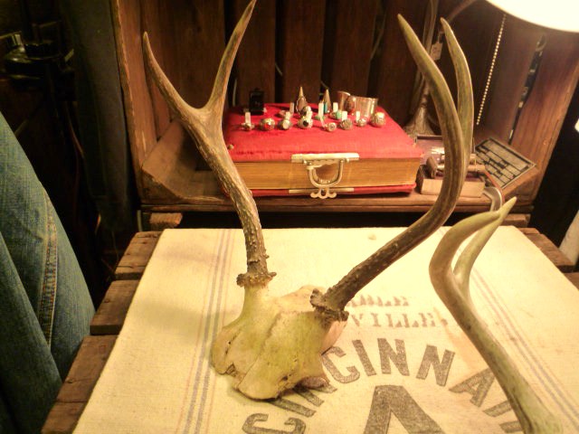 f0180307_2314115.jpg