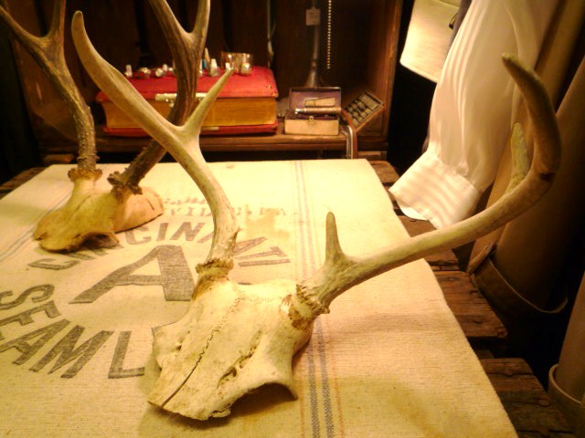 f0180307_2314549.jpg
