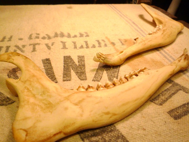 f0180307_23194921.jpg