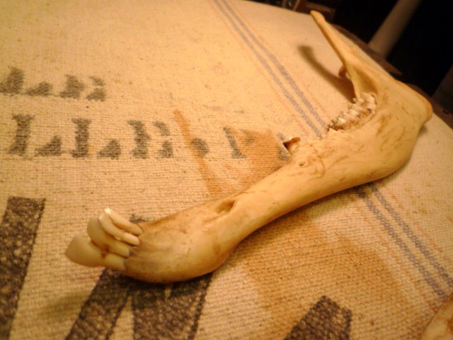 f0180307_23195650.jpg