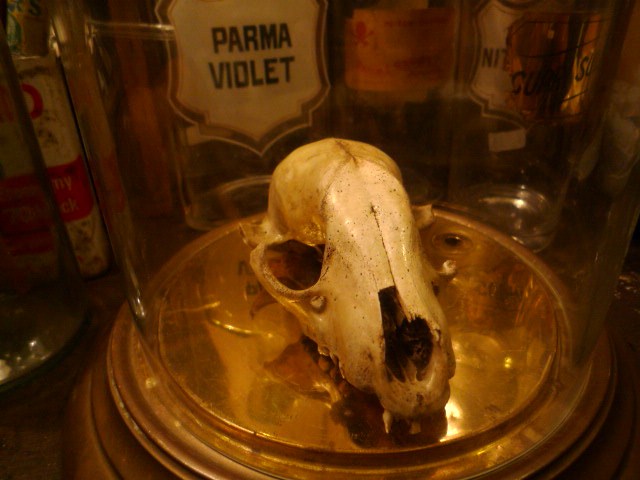 f0180307_23233516.jpg