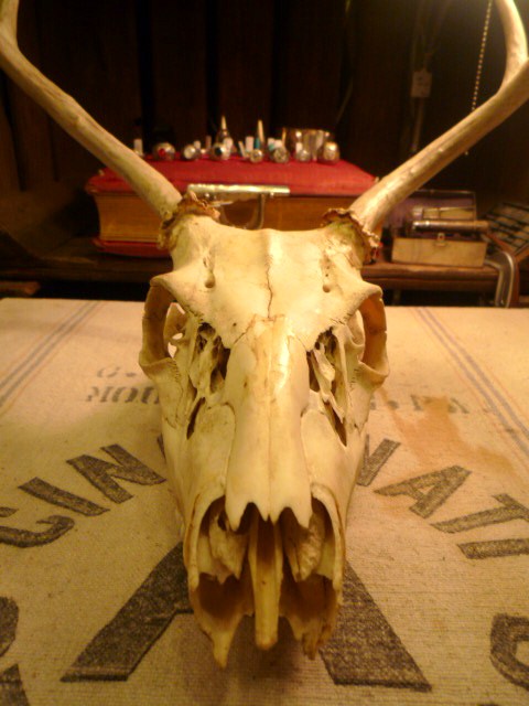 f0180307_237199.jpg