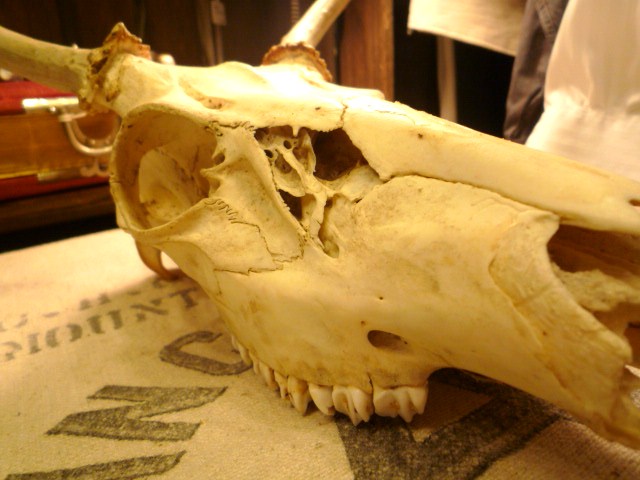 f0180307_2372547.jpg