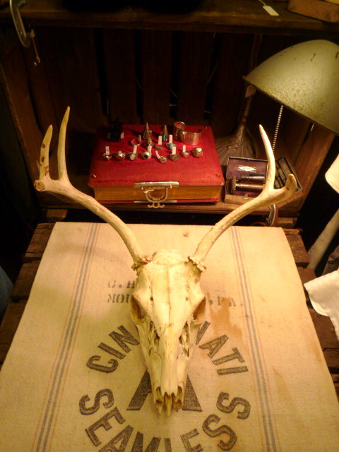 f0180307_2373116.jpg