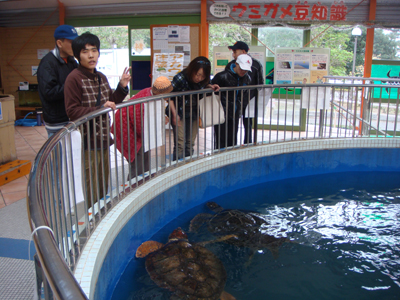12/7紀宝町のウミガメ公園へ行きました!_a0154110_9493257.jpg