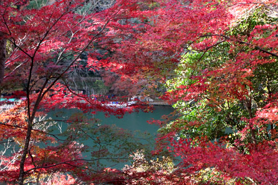 嵐山亀山公園 紅葉終盤_e0048413_1951564.jpg