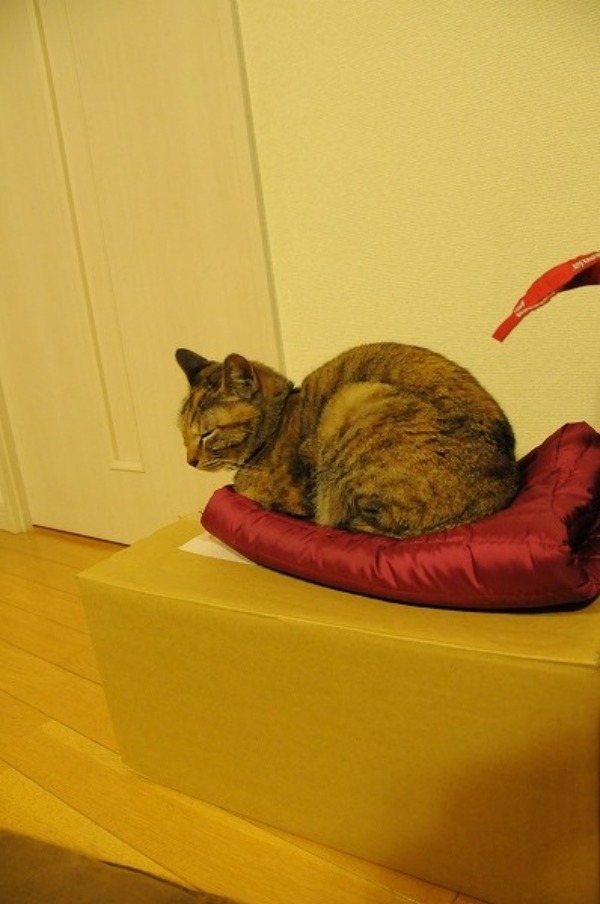 f0236413_1152114.jpg