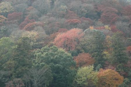 e0233614_145217.jpg