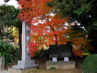 松虫寺付近の紅葉_d0070920_10352675.jpg