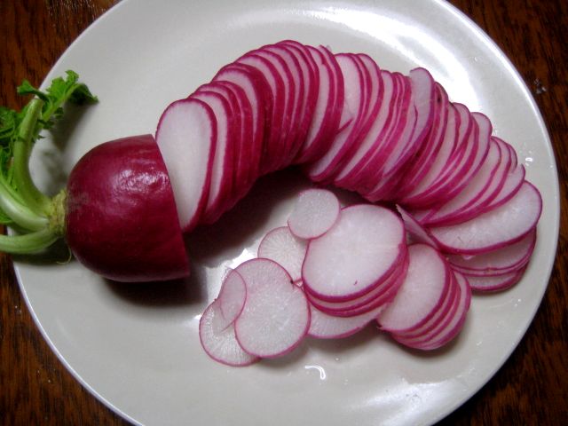レディーサラダ_b0093221_18413163.jpg