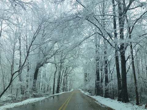 c0151122_4301455.jpg