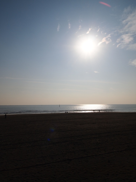b0177323_14201555.jpg