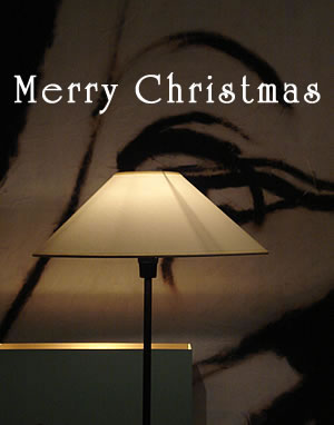 クリスマス　2011_d0012536_17395652.jpg
