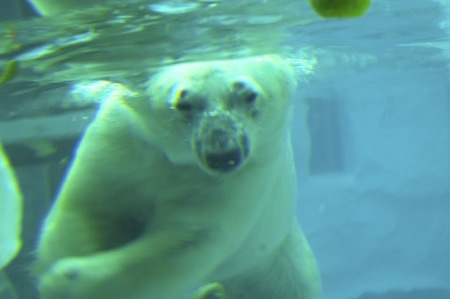 d0157736_14572275.jpg