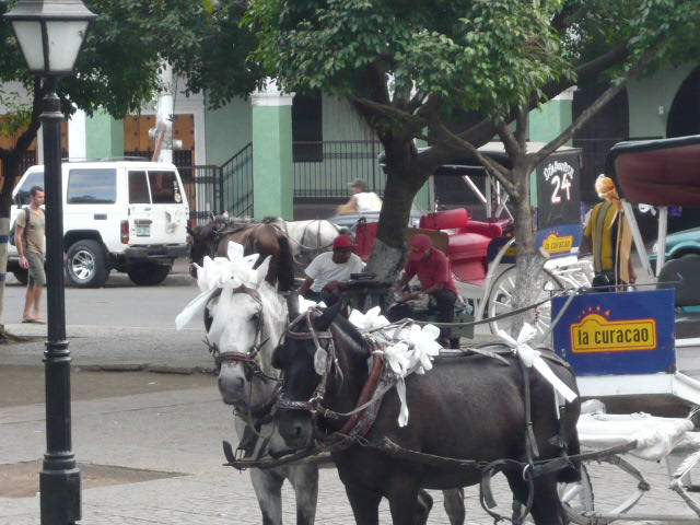a0040739_744694.jpg