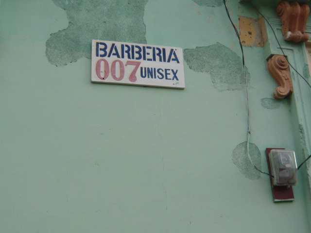 a0040739_7454564.jpg