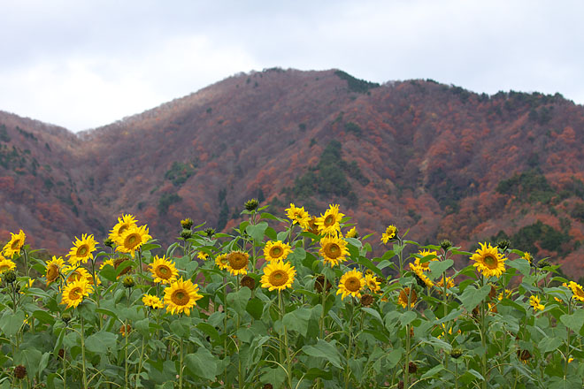 c0067040_23343755.jpg