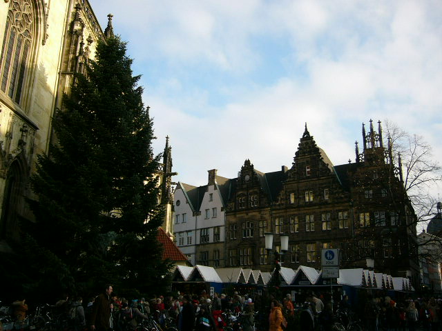 c0212741_1549287.jpg