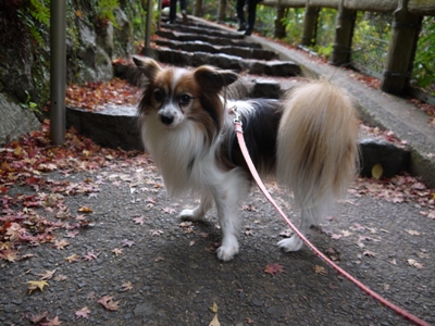 e0100046_2201536.jpg