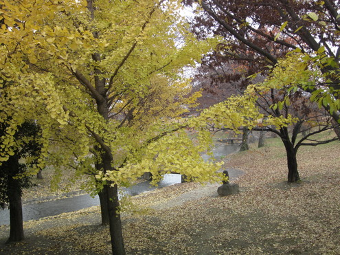 a0162251_14275415.jpg
