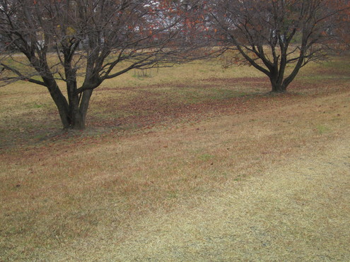 a0162251_14301788.jpg