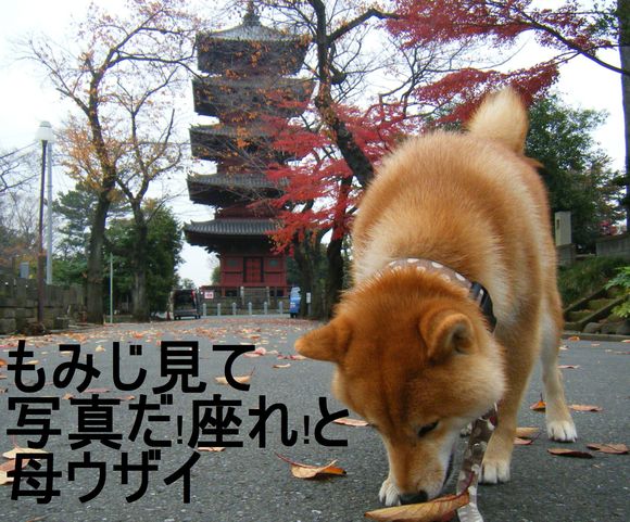 e0241952_11581335.jpg