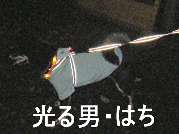 e0241952_12204148.jpg