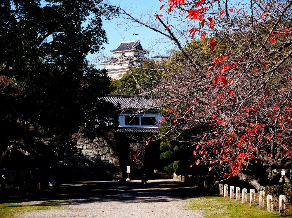 紅葉・黄葉_b0093754_22204725.jpg