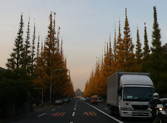 d0043354_19354746.jpg