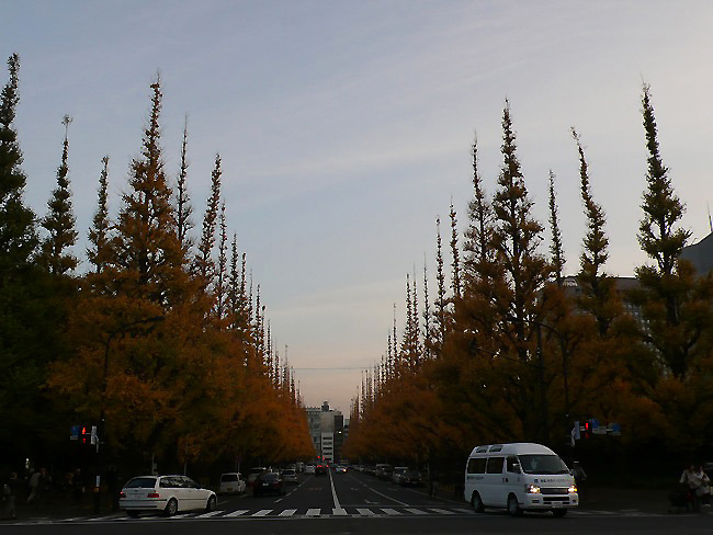 d0043354_19413888.jpg