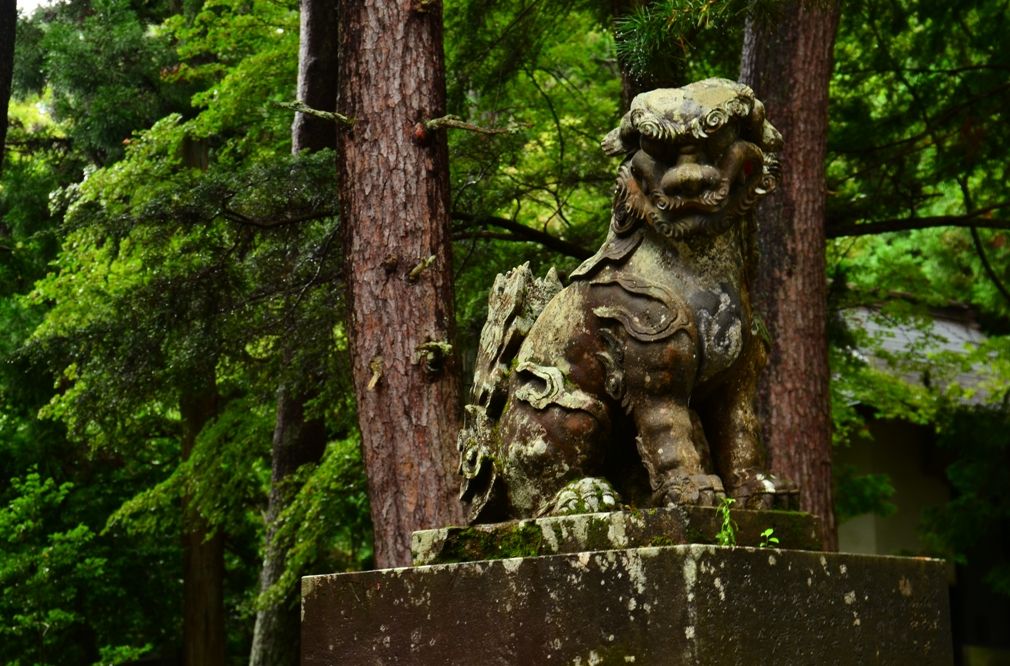 shrine2（有明山神社2）_e0223456_9522749.jpg