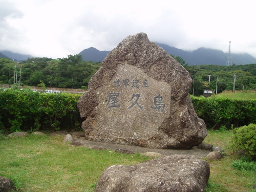 屋久島リトリート・４日目_a0061057_22524328.jpg