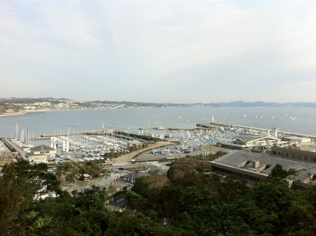 c0105957_232466.jpg