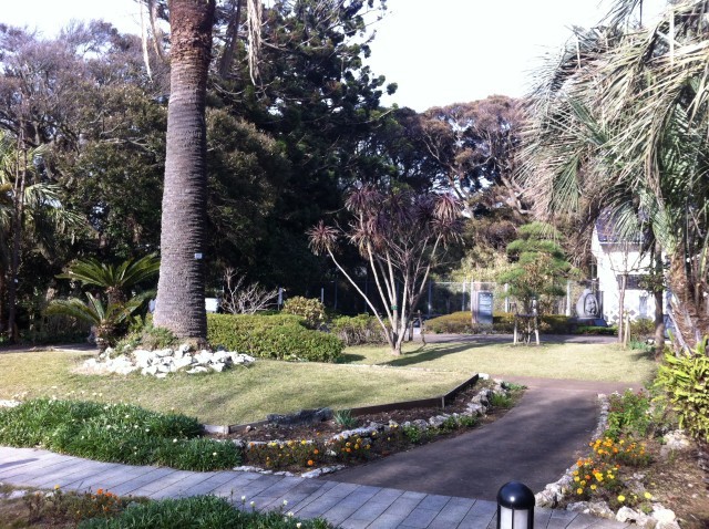 c0105957_233312.jpg