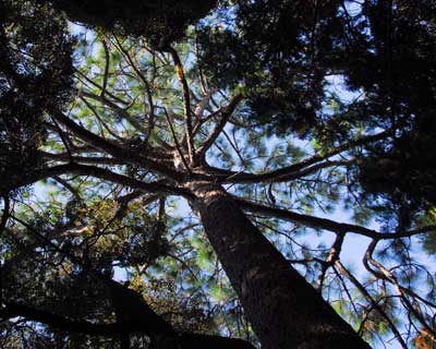 e0035757_16402096.jpg
