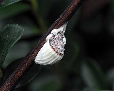e0035757_16414520.jpg