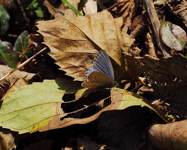 e0035757_1643695.jpg