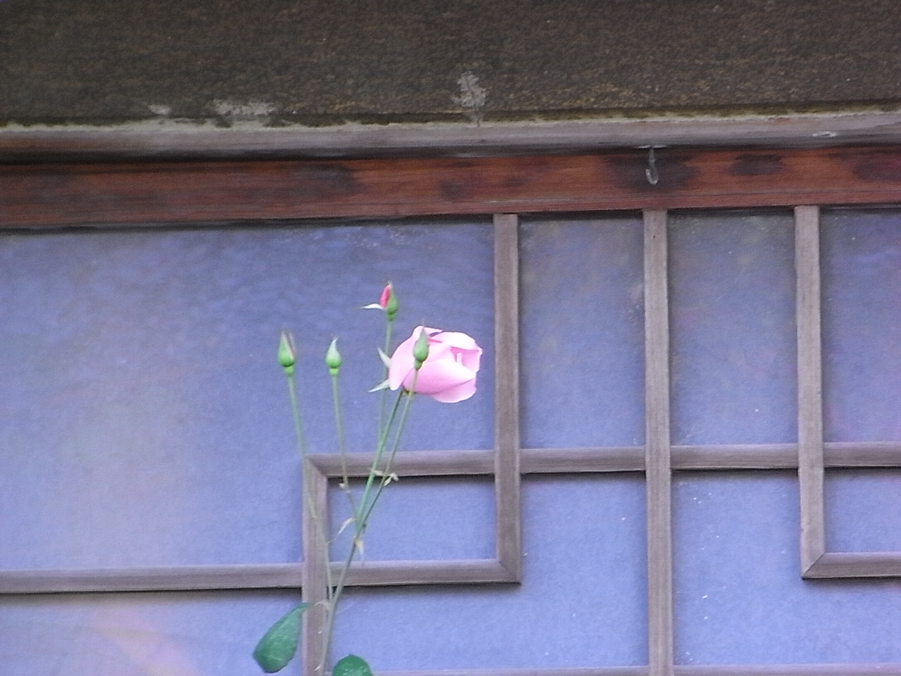 b0102868_3391572.jpg