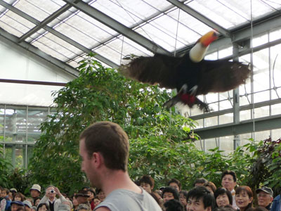 神戸花鳥園_e0173183_23595930.jpg