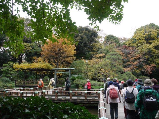 今年最後の火曜ウォークで渋谷区を歩いてきました_b0175688_20121919.jpg