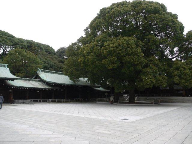 今年最後の火曜ウォークで渋谷区を歩いてきました_b0175688_20431949.jpg