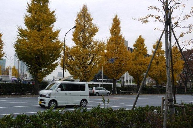 今年最後の火曜ウォークで渋谷区を歩いてきました_b0175688_20475251.jpg